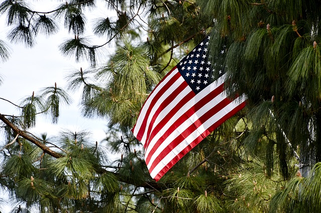 bandiera americana - election day